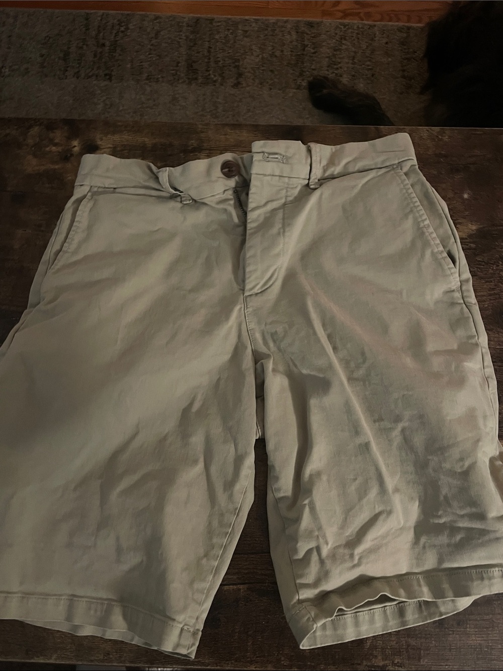 Men's Size 28 Khaki Shorts